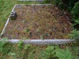 image of grave number 915527
